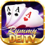 indian rummy games icon