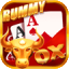 rummy 51 bonus 2023 logo